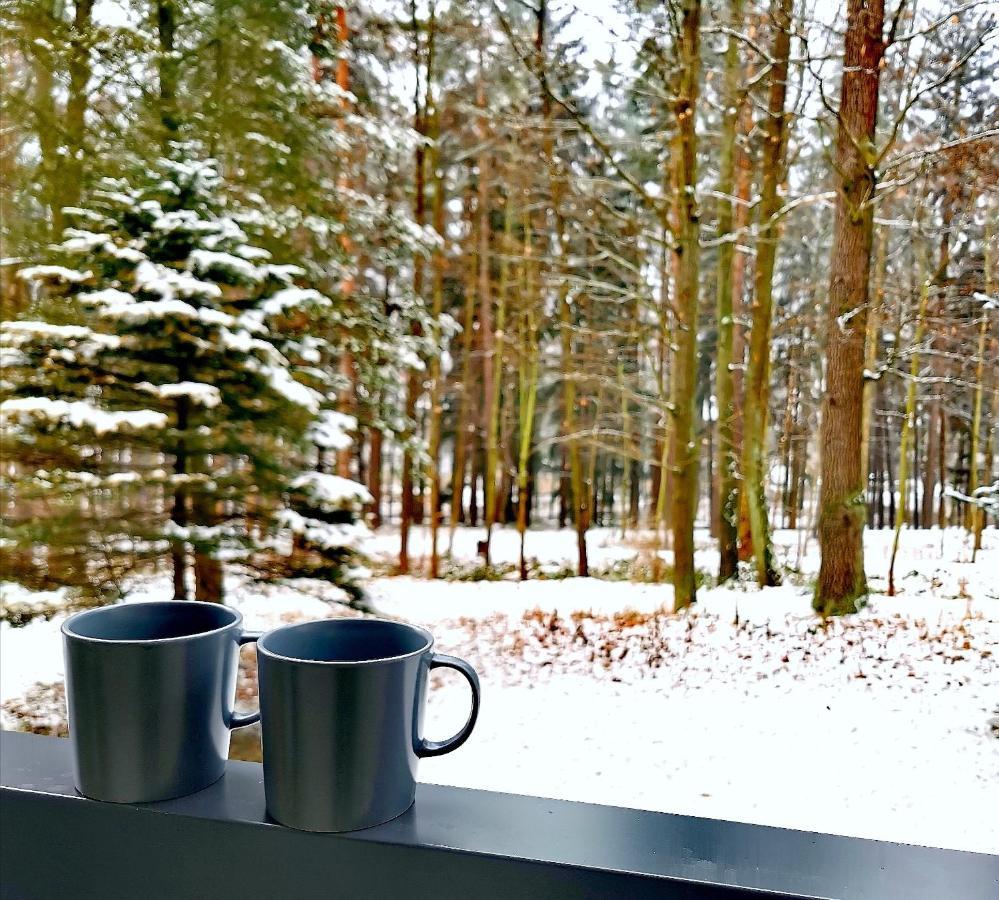 Apartament Z Widokiem Na Park Polanica-Zdroj Dış mekan fotoğraf