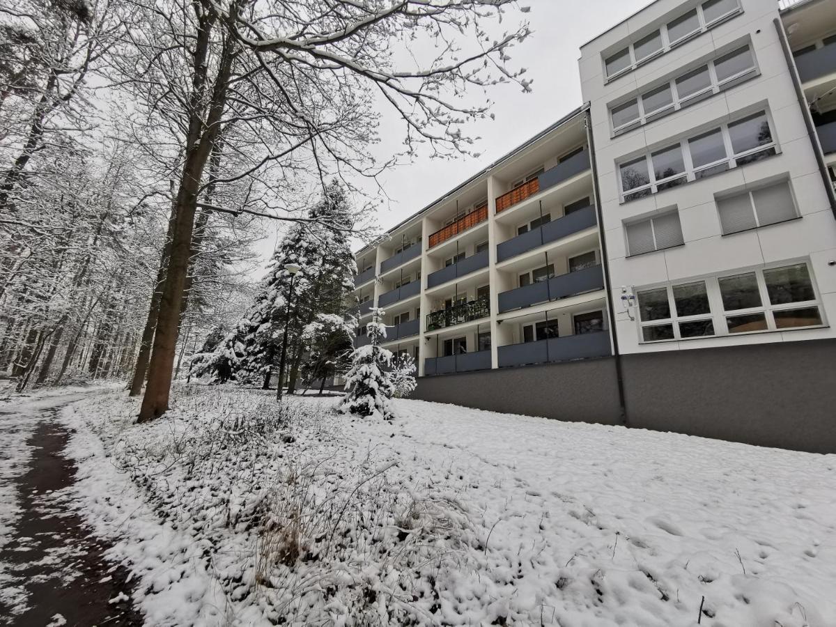 Apartament Z Widokiem Na Park Polanica-Zdroj Dış mekan fotoğraf