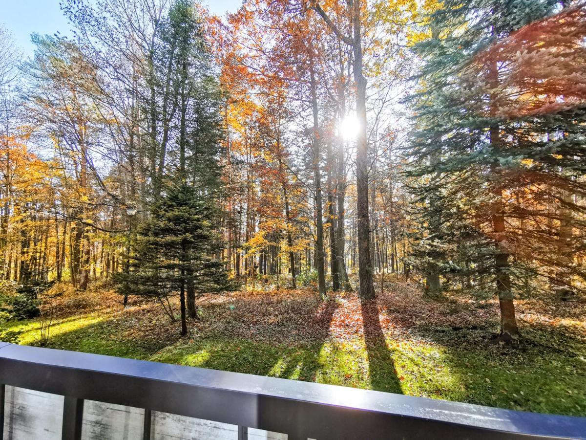 Apartament Z Widokiem Na Park Polanica-Zdroj Dış mekan fotoğraf