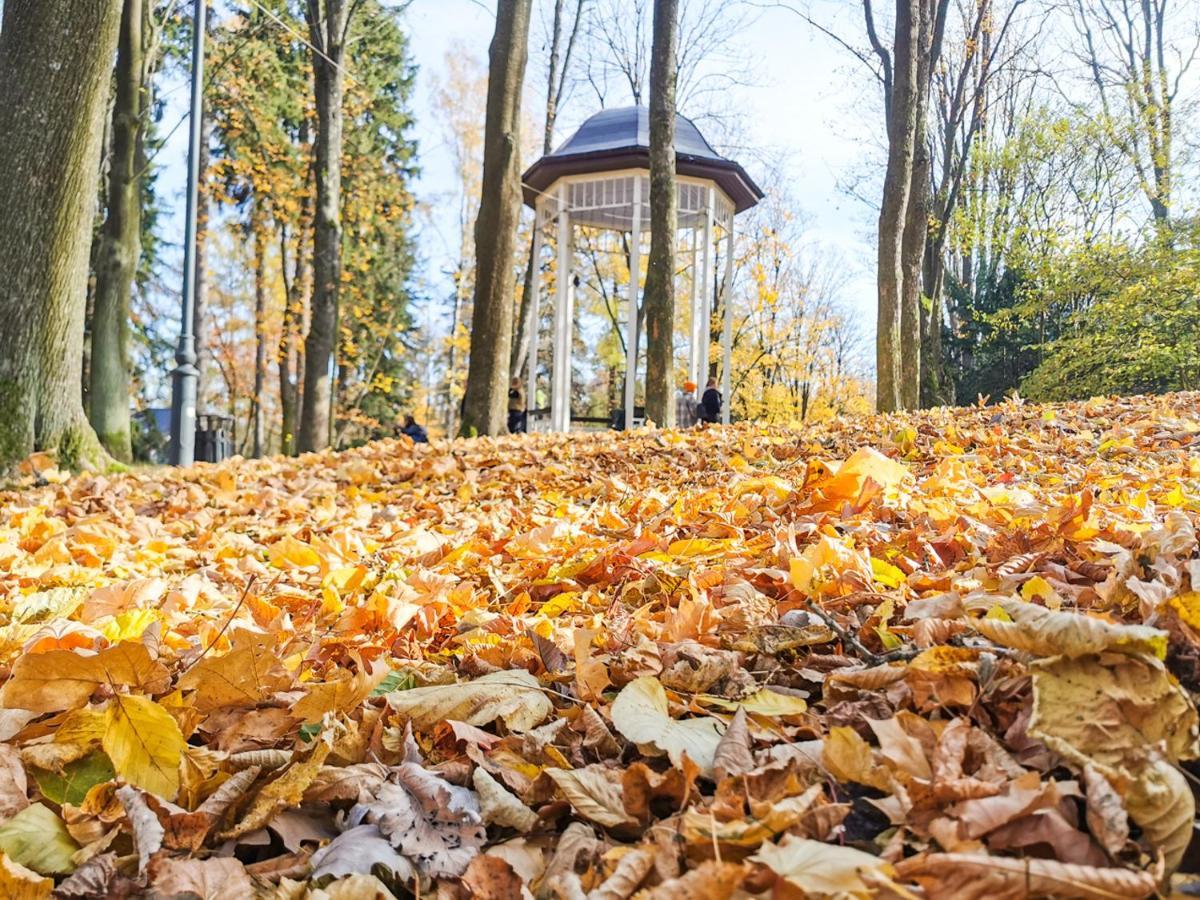 Apartament Z Widokiem Na Park Polanica-Zdroj Dış mekan fotoğraf