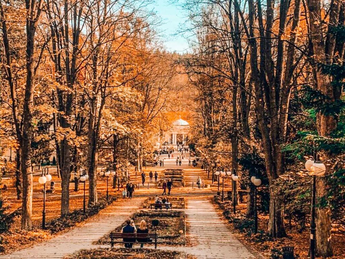 Apartament Z Widokiem Na Park Polanica-Zdroj Dış mekan fotoğraf
