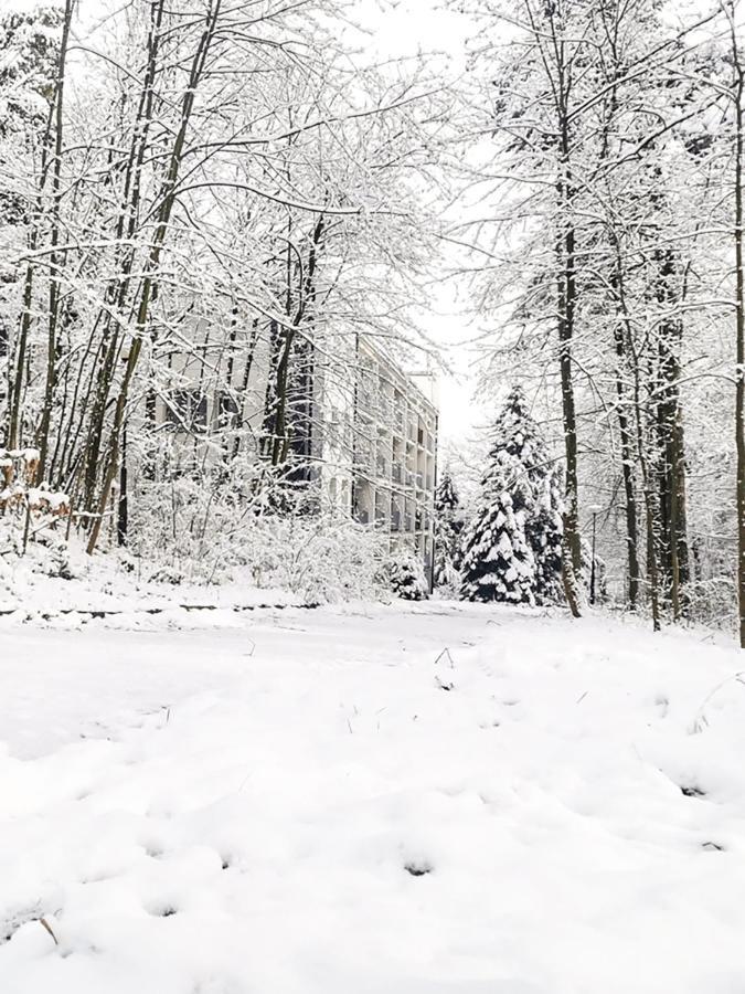 Apartament Z Widokiem Na Park Polanica-Zdroj Dış mekan fotoğraf