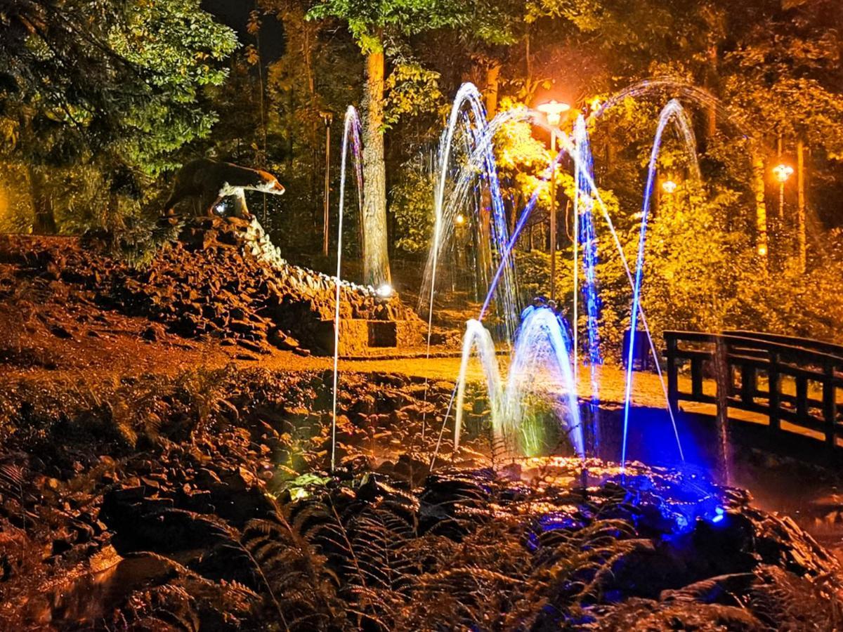 Apartament Z Widokiem Na Park Polanica-Zdroj Dış mekan fotoğraf